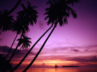 Summer wallpapers40